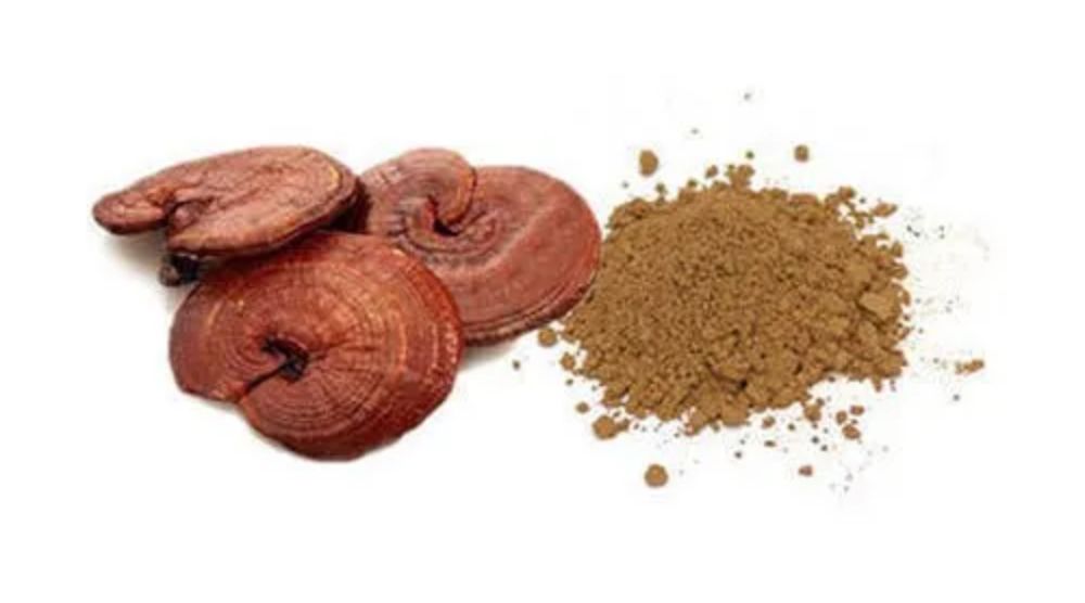 How To Make Reishi Tincture? 1 How To Make Reishi Tincture