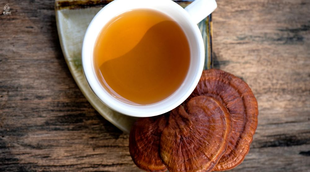 How To Make Reishi Tincture? 2 How To Make Reishi Tincture