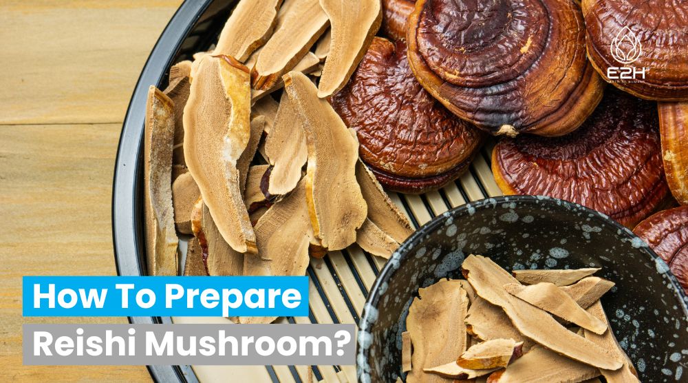 How To Prepare Reishi Mushroom? 4 How To Prepare Reishi Mushroom
