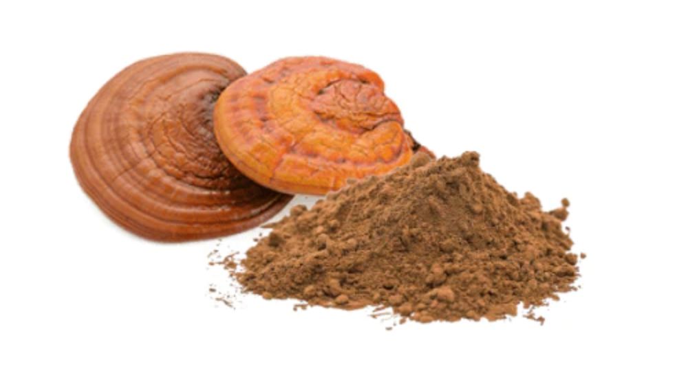 How To Use Reishi Mushroom Powder? 1 How To Use Reishi Mushroom Powder
