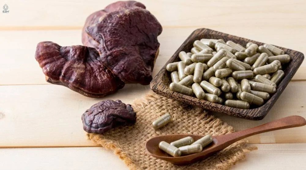 Are There Any Known Allergic Reactions To Reishi Extract