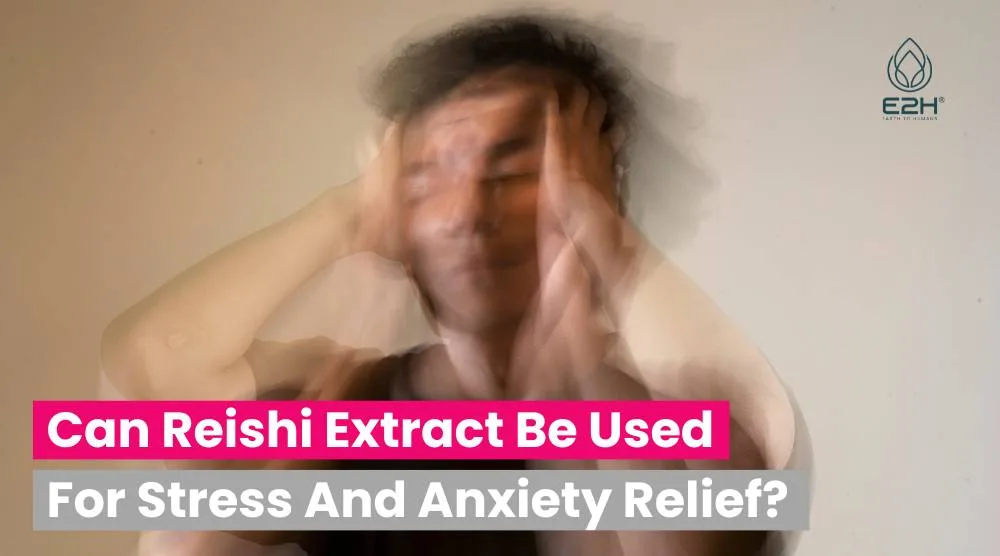Can Reishi Extract Be Used For Stress And Anxiety Relief: Best Ways 6 Can Reishi Extract Be Used For Stress And Anxiety Relief: Best Ways