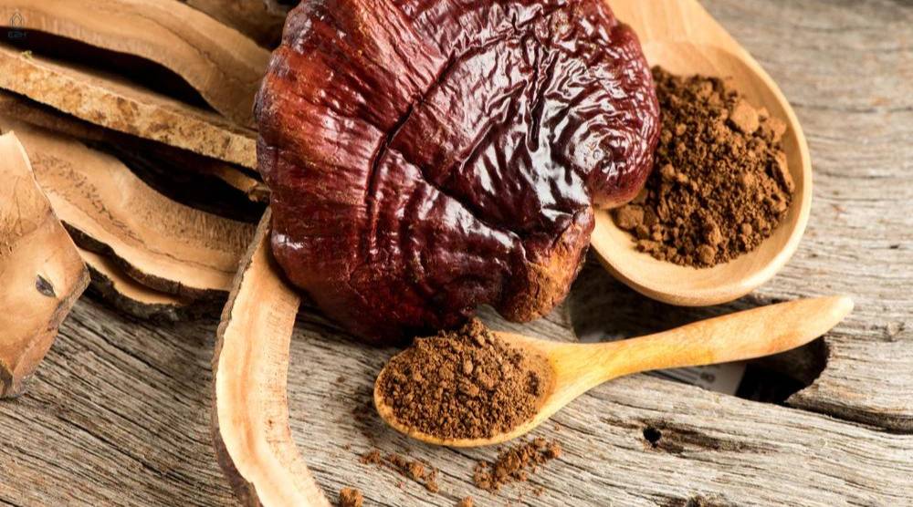 Can Reishi Extract Be Used For Stress And Anxiety Relief: Best Ways 1 Can Reishi Extract Be Used For Stress And Anxiety Relief