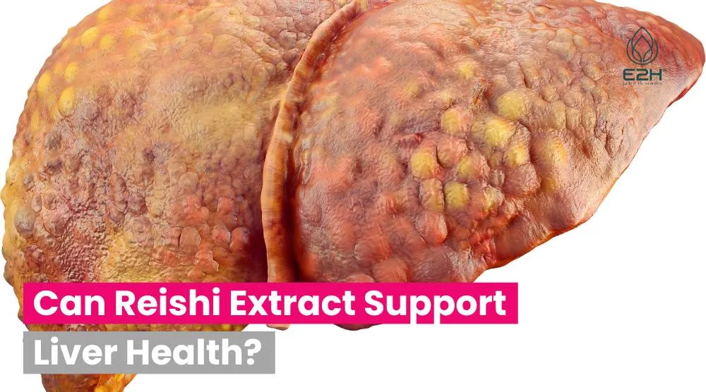 Can Reishi Extract Support Liver Health?