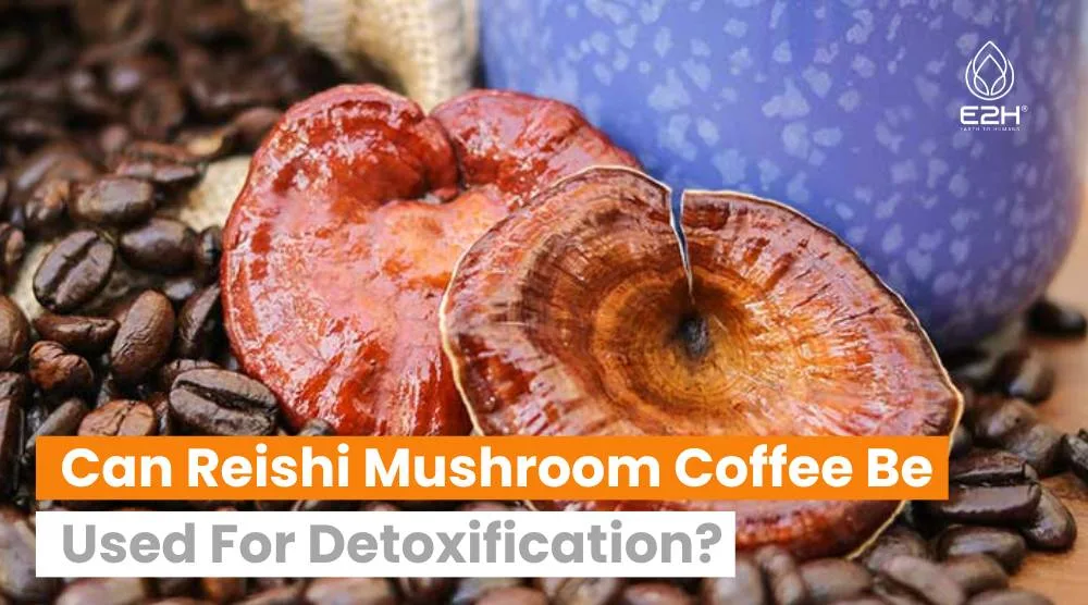 Can Reishi Mushroom Coffee Be Used For Detoxification: Best Option?