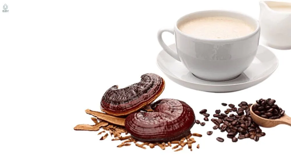 Can Reishi Mushroom Coffee Be Used For Detoxification