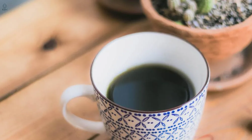 Can You Take Ashwagandha And Liquid Chlorophyll Together