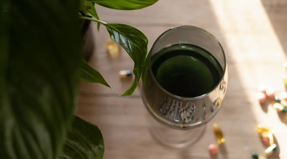 Can You Take Ashwagandha And Liquid Chlorophyll Together