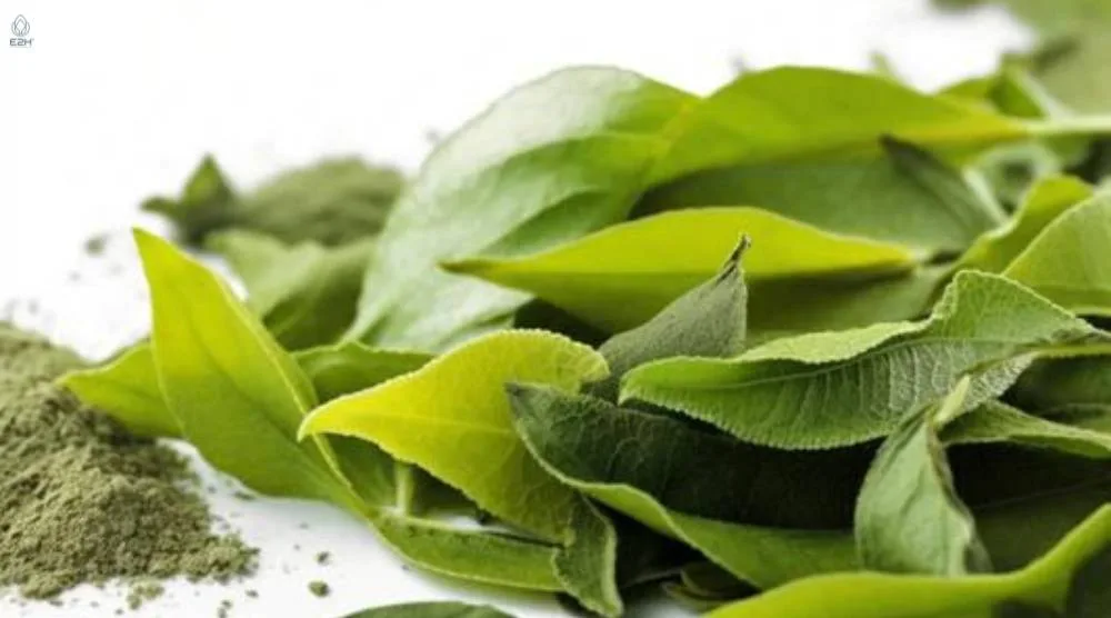 Can You Take L Theanine and Ashwagandha Together