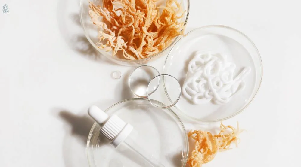 Can You Take Sea Moss and Ashwagandha Together