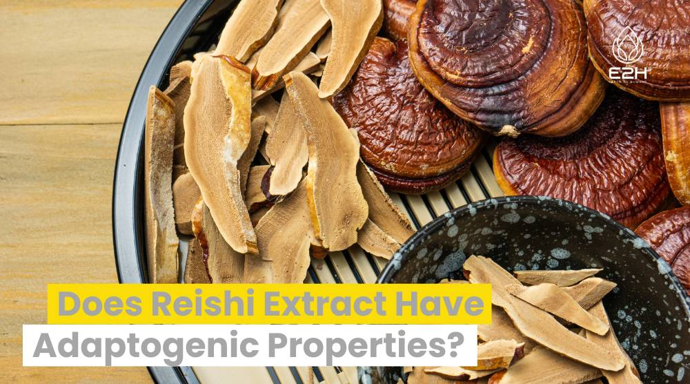 Does Reishi Extract Have Adaptogenic Properties? 5 Does Reishi Extract Have Adaptogenic Properties?