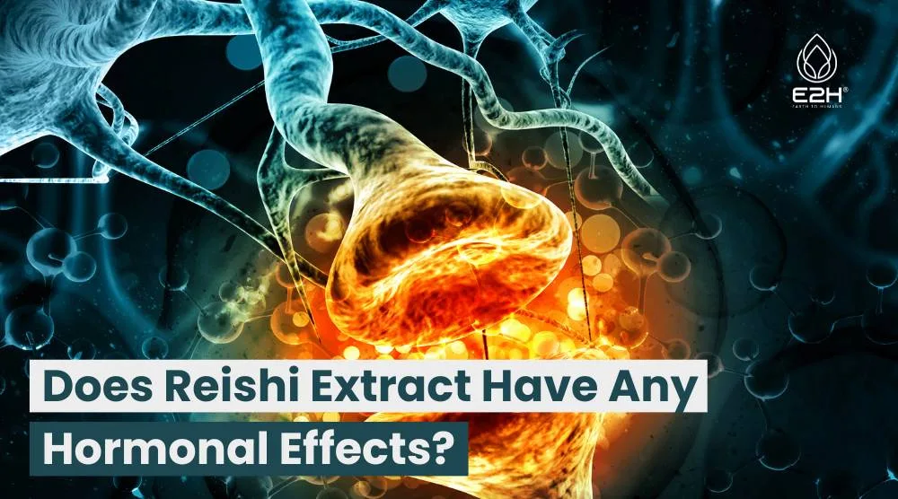 Does Reishi Extract Have Any Hormonal Effects?