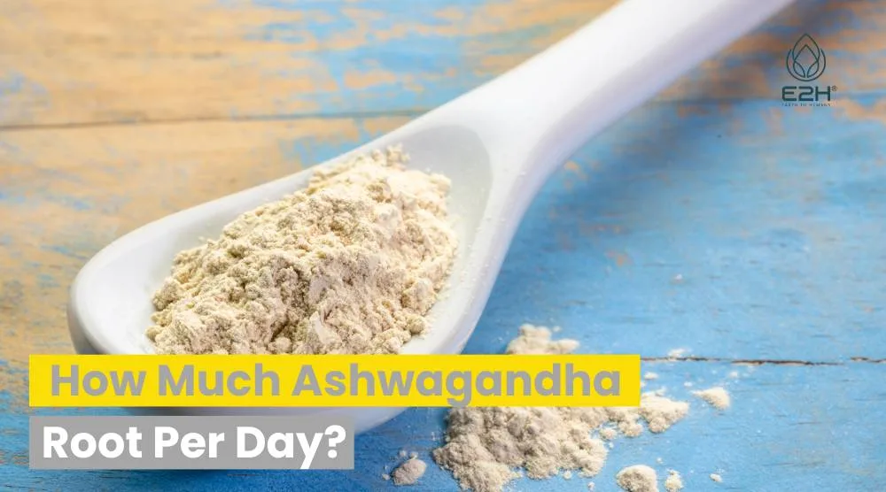How Much Ashwagandha Root Per Day