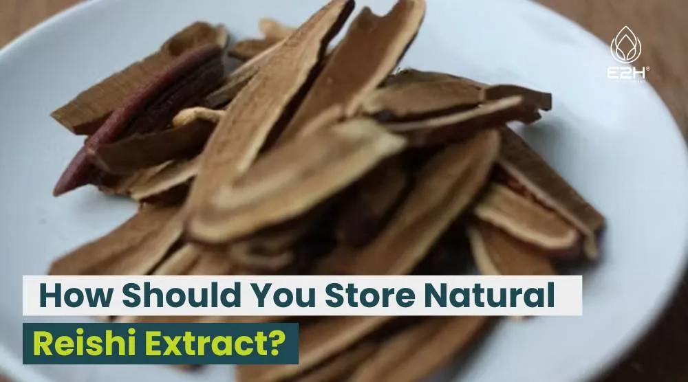 How Should You Store Natural Reishi Extract?