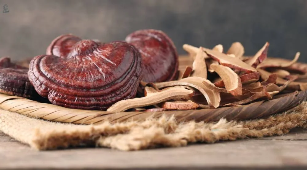 How Should You Store Natural Reishi Extract? 1 How Should You Store Natural Reishi Extract