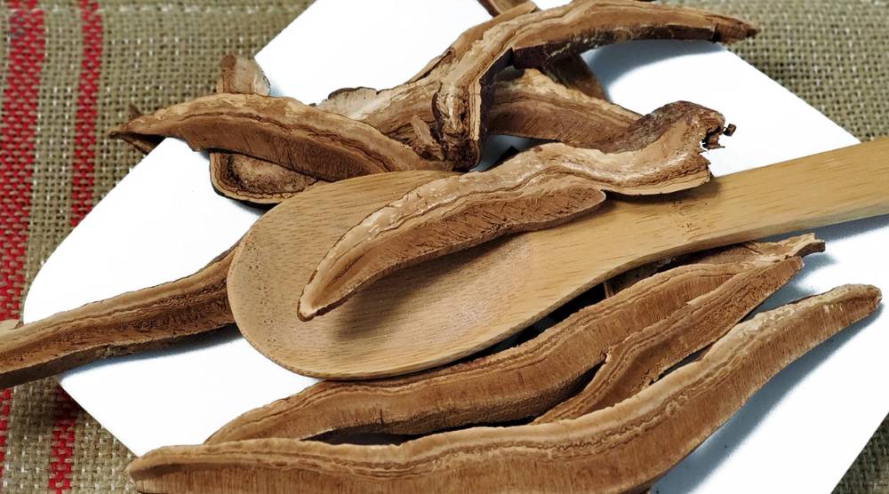 How Should You Store Natural Reishi Extract? 2 How Should You Store Natural Reishi Extract