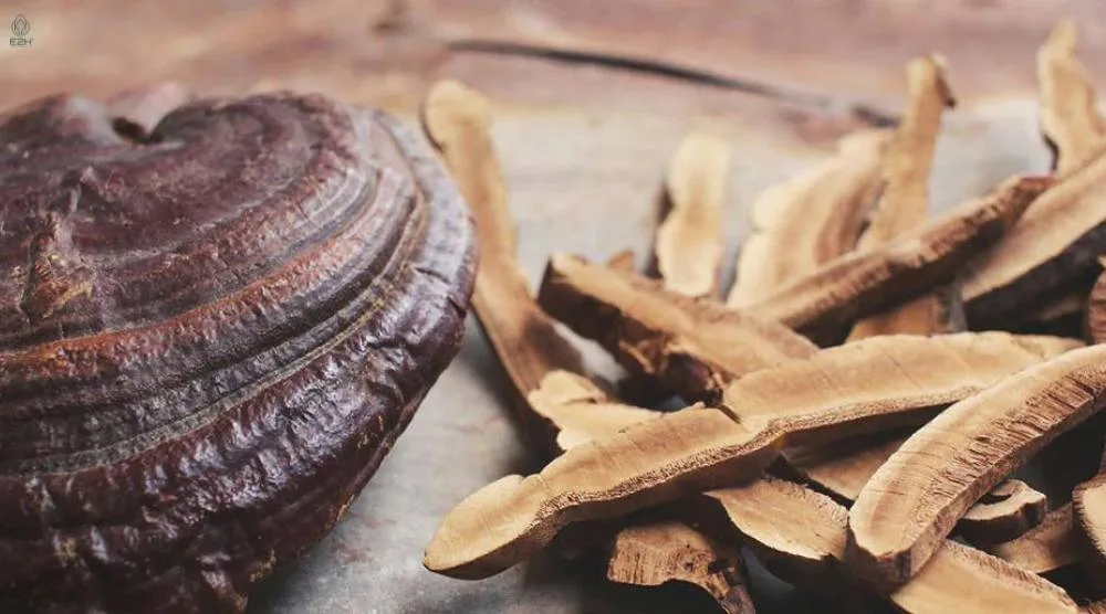 How Should You Store Natural Reishi Extract? 3 How Should You Store Natural Reishi Extract