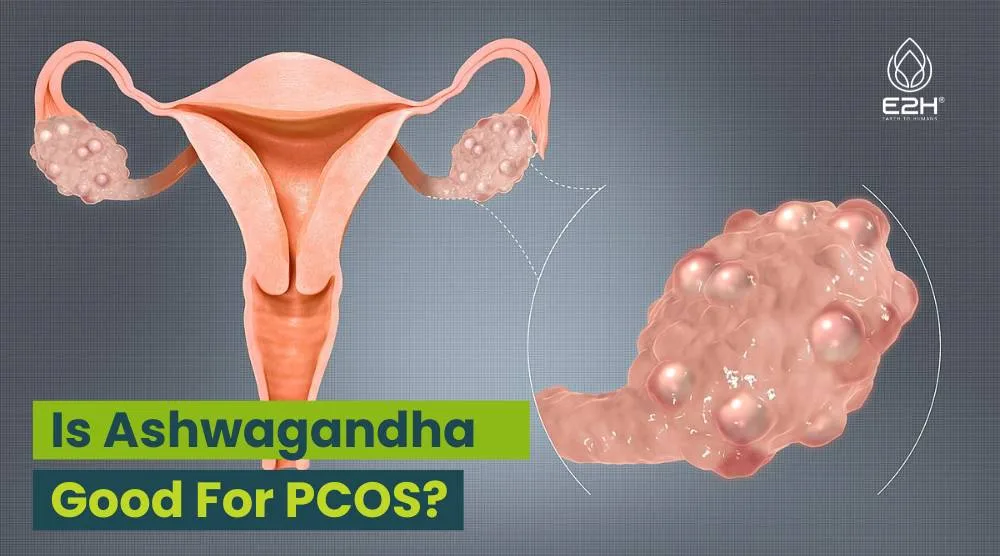 Is Ashwagandha Good For PCOS?