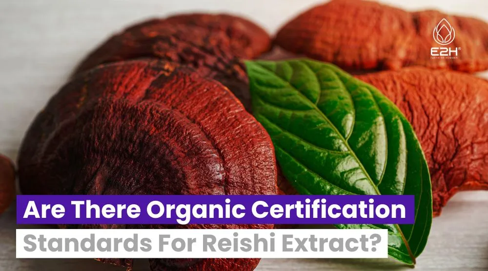 Are There Organic Certification Standards For Reishi Extract? 11 Are There Organic Certification Standards For Reishi Extract?
