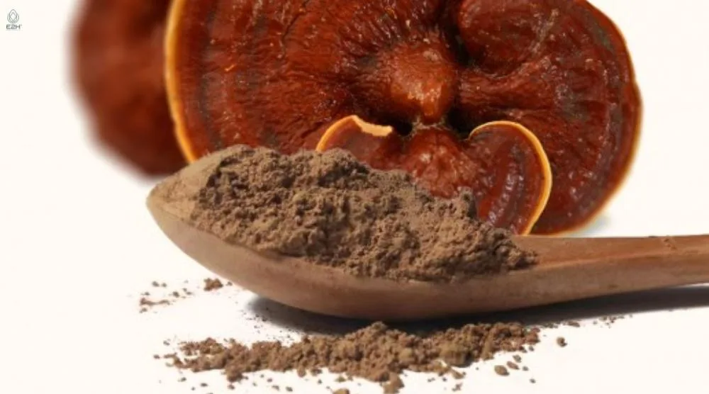 Are There Organic Certification Standards For Reishi Extract? 2 Organic Certification Standards For Reishi Extract