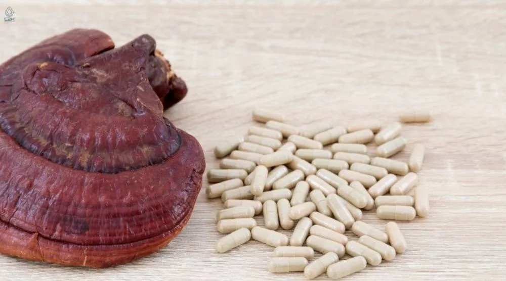 What Are The Active Compounds In Reishi Extract? 1 What Are The Active Compounds In Reishi Extract