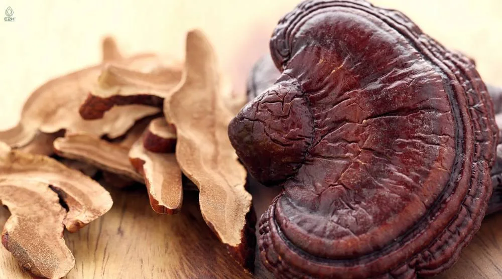 What Are The Active Compounds In Reishi Extract? 2 What Are The Active Compounds In Reishi Extract