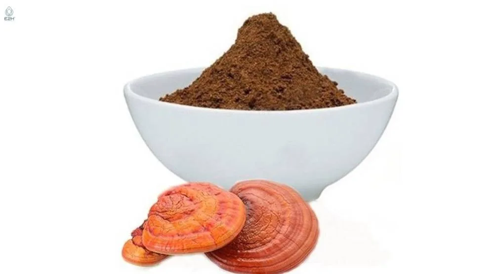 What Are The Active Compounds In Reishi Extract? 3 What Are The Active Compounds In Reishi Extract