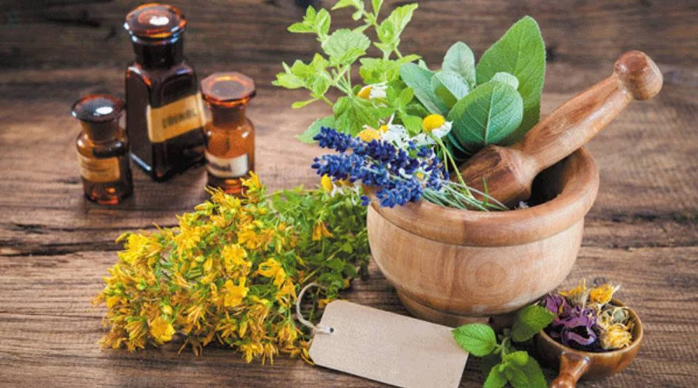 Which Is Better For Anxiety Ashwagandha Or GABA