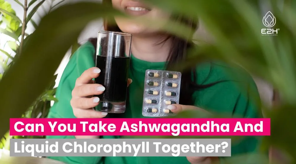 Can You Take Ashwagandha And Liquid Chlorophyll Together: YES!