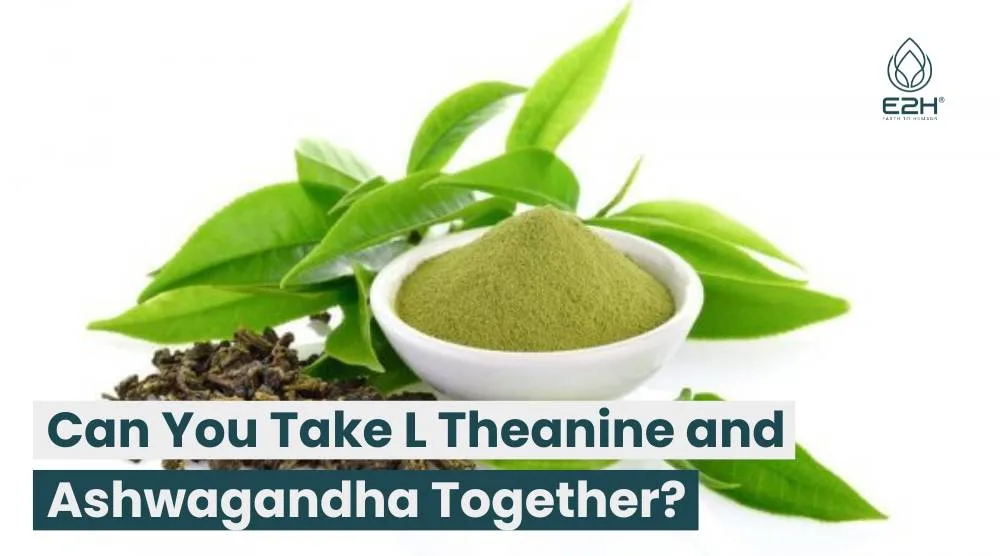 Can You Take L Theanine and Ashwagandha Together: YES!