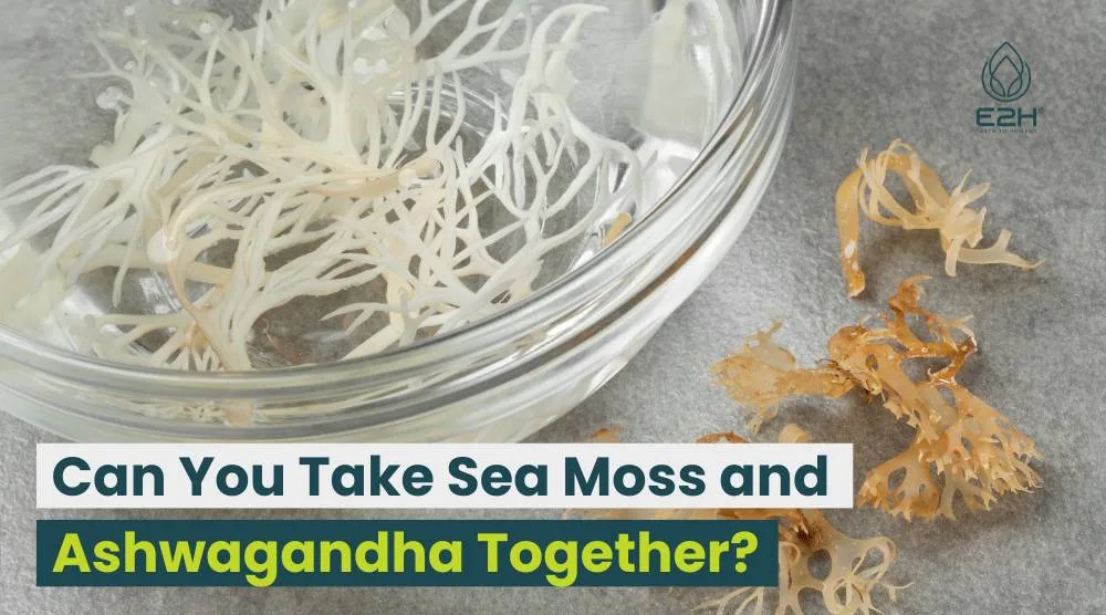 Can You Take Sea Moss and Ashwagandha Together?