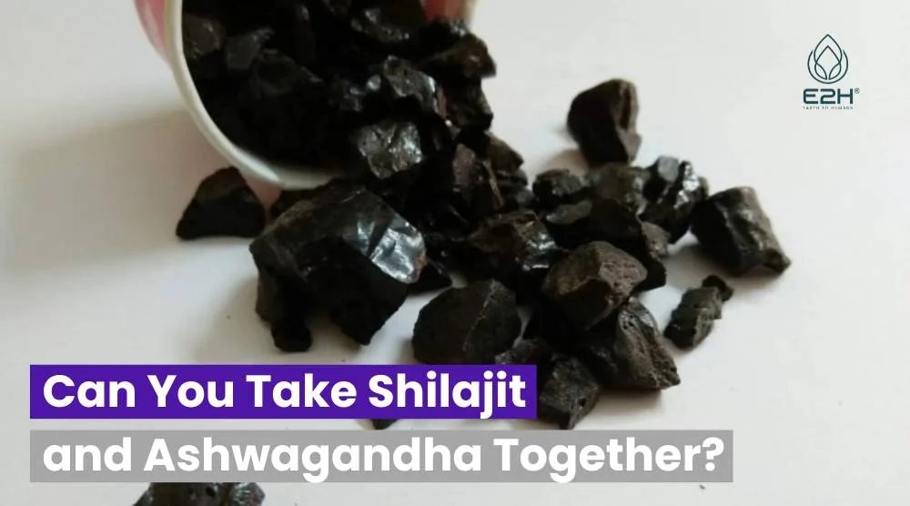 Can You Take Shilajit and Ashwagandha Together?